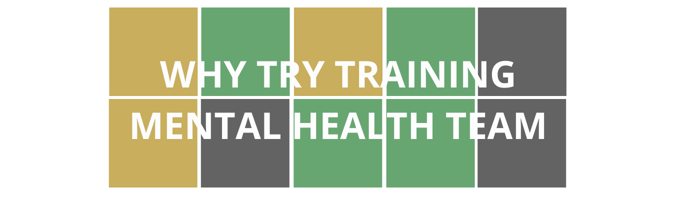 Colorful Wordle style blocks with course title "Why Try Training Mental Health Team" that is linked to course registration.