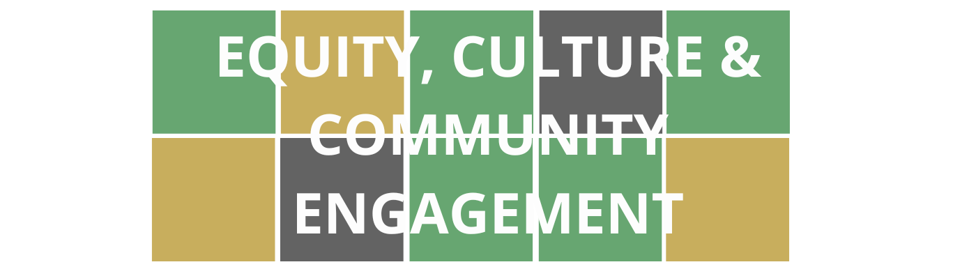 Wordle style colorful blocks with department title of Equity, Culture & Community Engagement that links to page with course offerings. 
